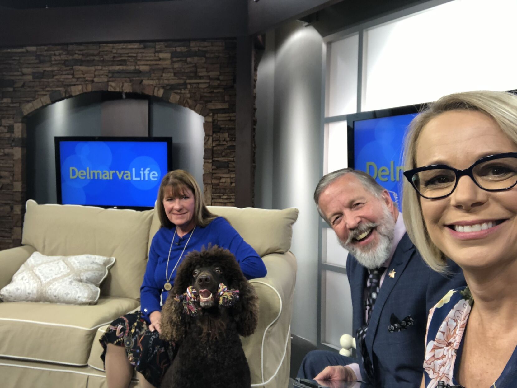 The Eastern Shore Classic Dog Shows
